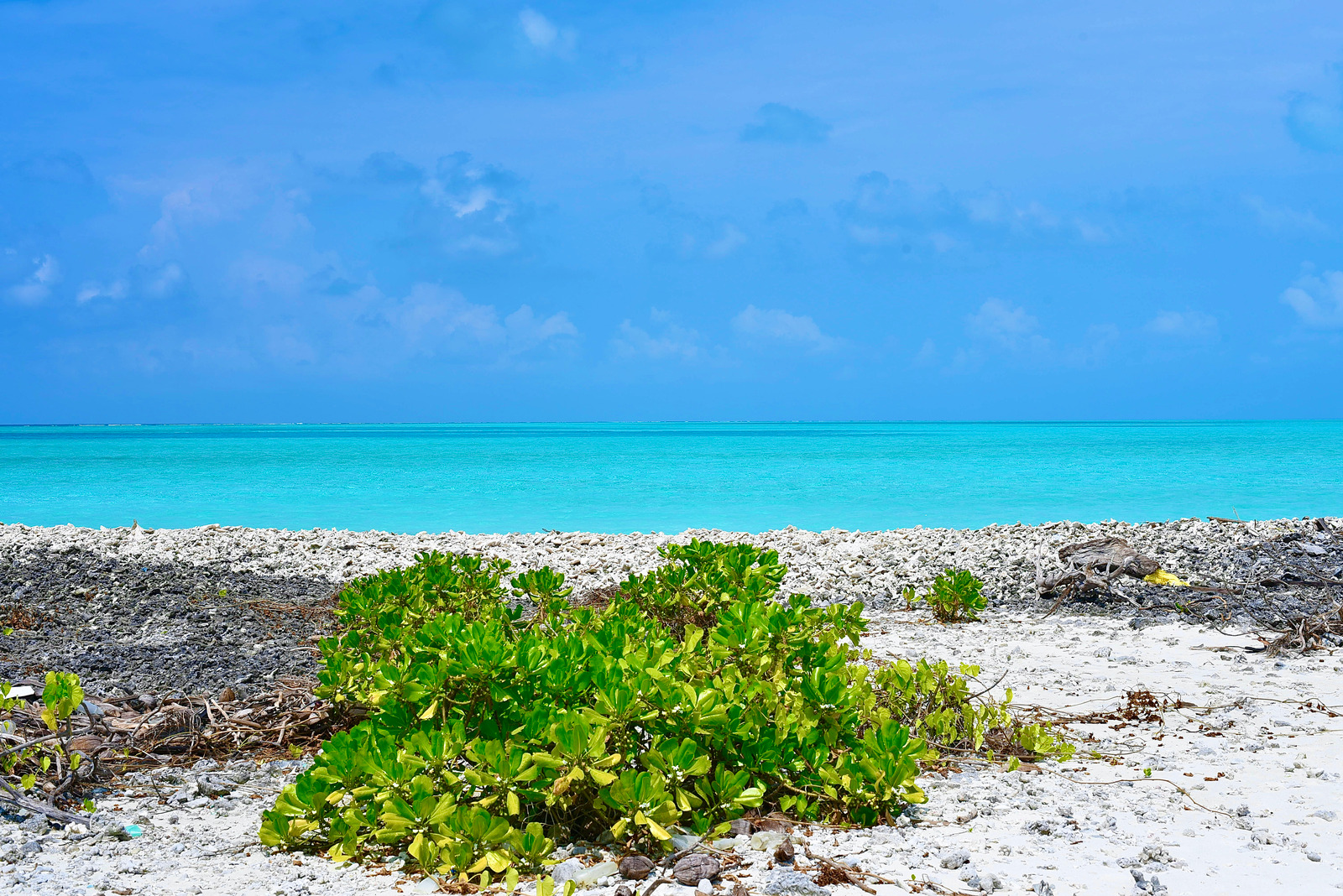 Minicoy Island, Lakshadweep Islands, India